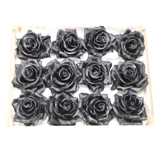 Wax Roos Zwart