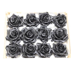 Wax Roos Zwart