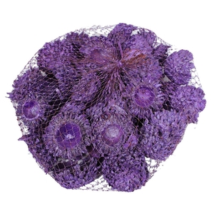 Acorn Cones 500gram in net purple pearl