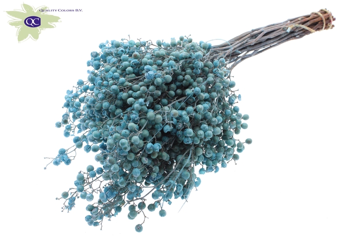 <h4>Pepperberries per bunch in poly light blue</h4>