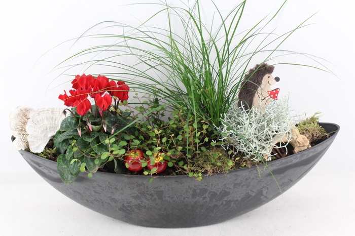 <h4>arr4 Outdoor VL - Kunststof kano</h4>
