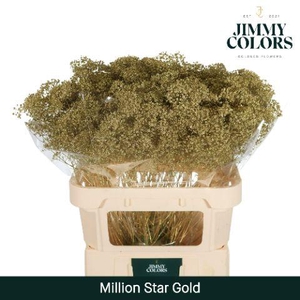 Gyps Million Star L80 Metallic gold