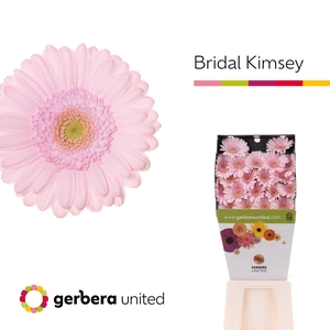 Ge Mi Bridal Kimsey