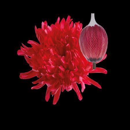 <h4>Chr G Antonov Red</h4>