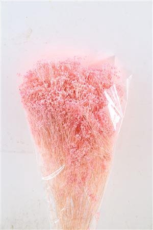 <h4>Dried Brooms Light Pink Bunch</h4>