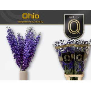 DELPH DU DELP OHIO 100CM X30