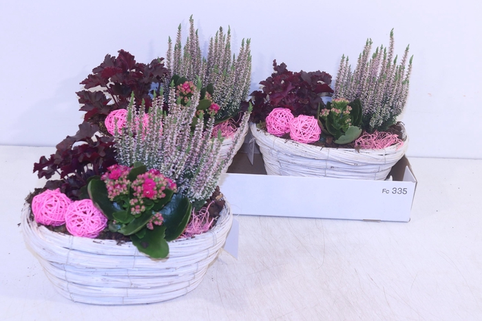 <h4>ARR TUINPLANTEN</h4>