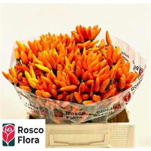 CAP ORANGE FIRE 40 CM