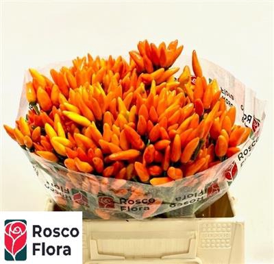 CAP ORANGE FIRE 40 CM