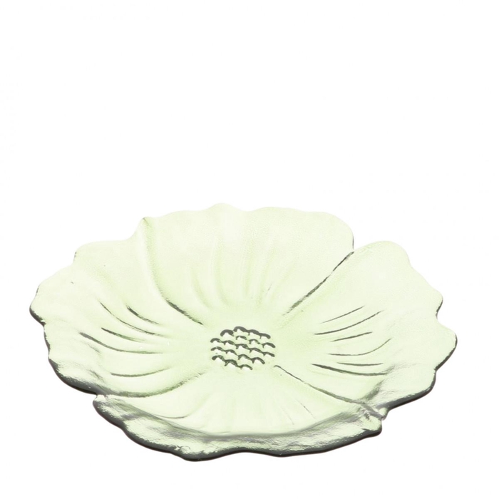 <h4>Glass Bowl Flower plate d16.5*2cm</h4>