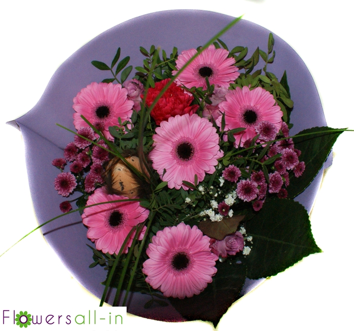 <h4>P202305 Lila</h4>