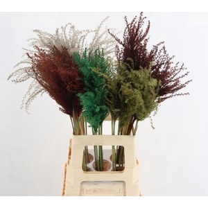 Dried miscanthus paint autumn mix