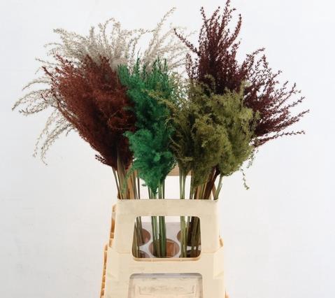<h4>Dried miscanthus paint autumn mix</h4>