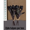 DECO TULIP DARK GREEN