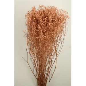 Dried Gyps Copper Bunch