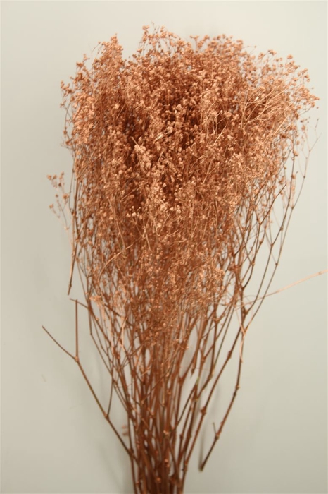 <h4>Dried Gyps Copper Bunch</h4>