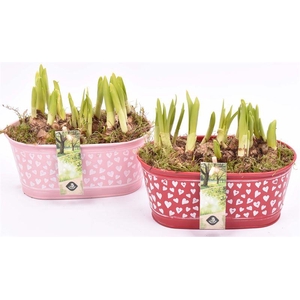 Zink ovaal hart decor 18x10cm