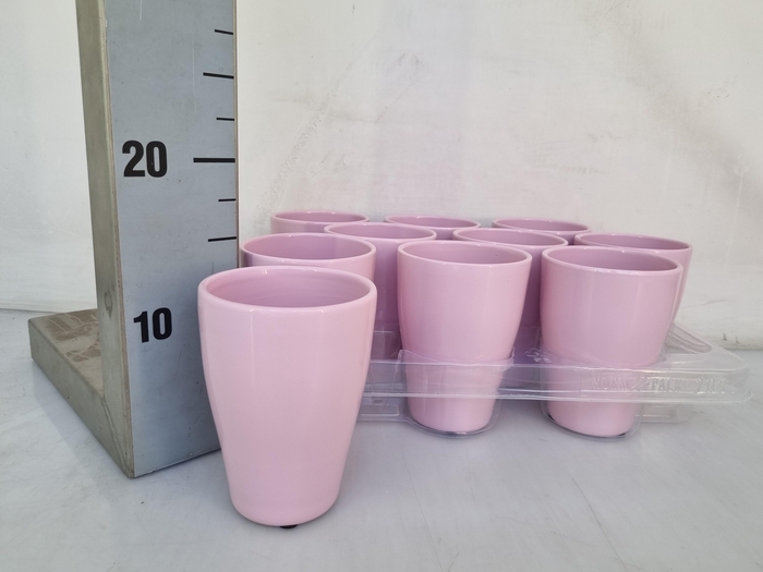 <h4>HUIS EN TUINDECO H%</h4>