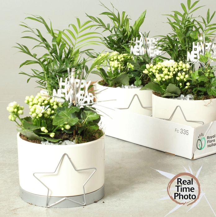 <h4>ARR KAMERPL</h4>