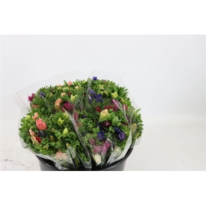 Anem Co Jerusal Mixed