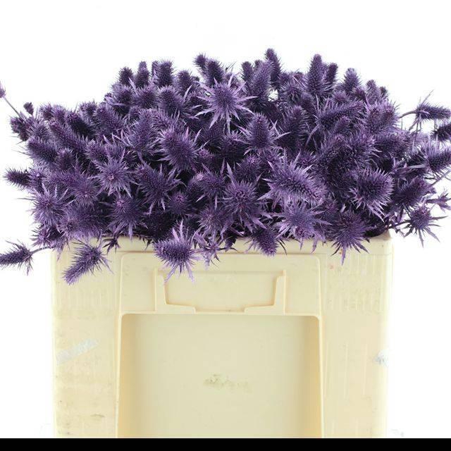 <h4>Eryn A Ov Klb H%</h4>