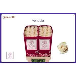 R GR VENDELA