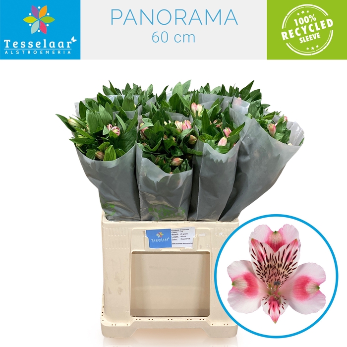 Fleuromarché B.V. Webshop