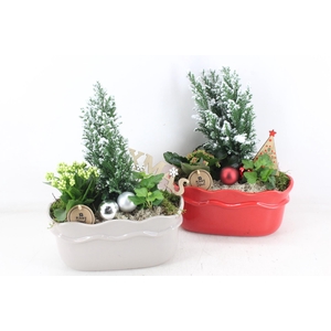 arr2 PL - Ker. ovaal met rand x4 - rood/wit