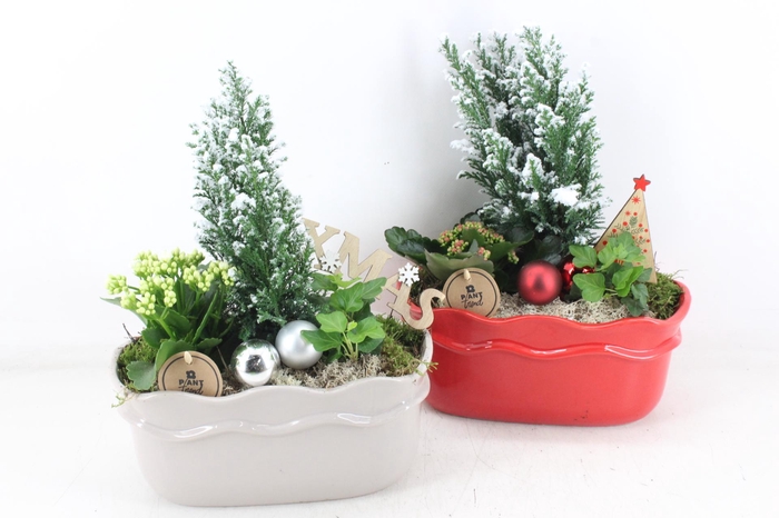 <h4>arr2 PL - Ker. ovaal met rand x4 - rood/wit</h4>