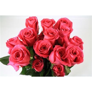 R GR EQ PINK FLOYD