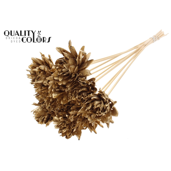 <h4>Shola Slice Pine 6cm on stem Antique Gold</h4>
