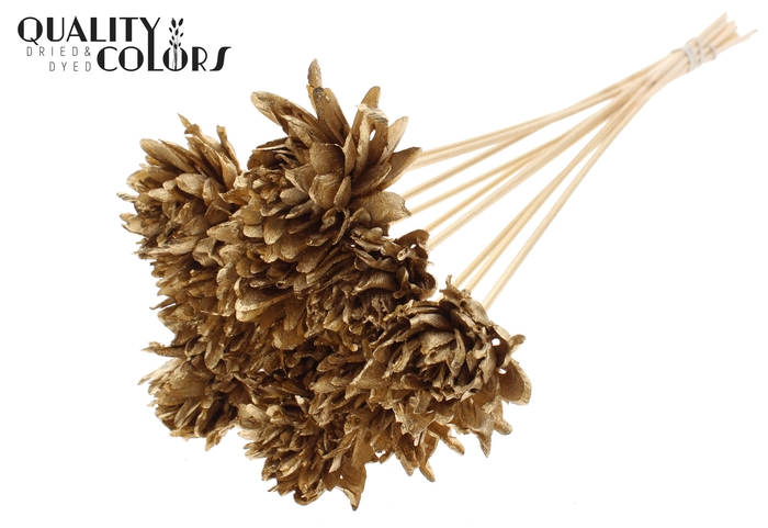 Shola Slice Pine 6cm on stem Antique Gold