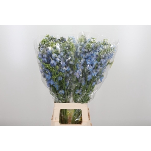 Delphinium En Ballkleid