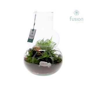 Green Bottle Olaf Large met arrangement