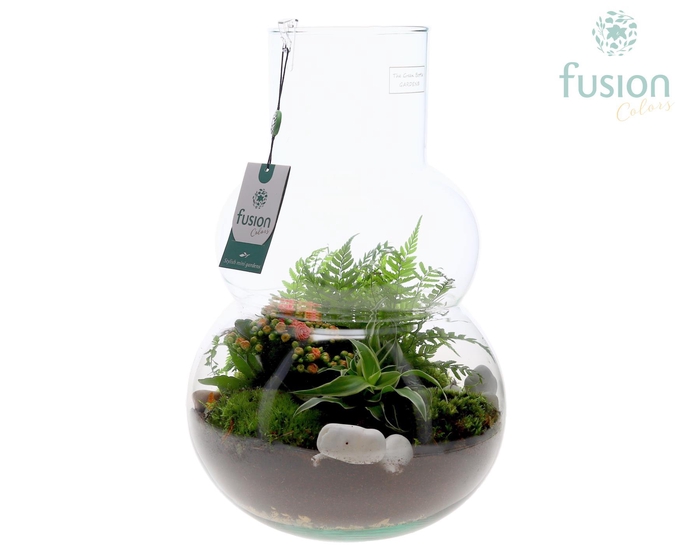 <h4>Green Bottle Olaf Large met arrangement</h4>