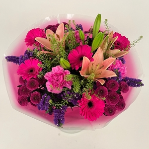 Bq Volume Voltage Purple L