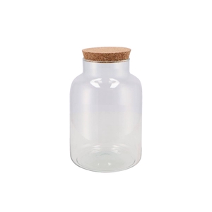 Glass Bottle With Cork Close 17x27cm