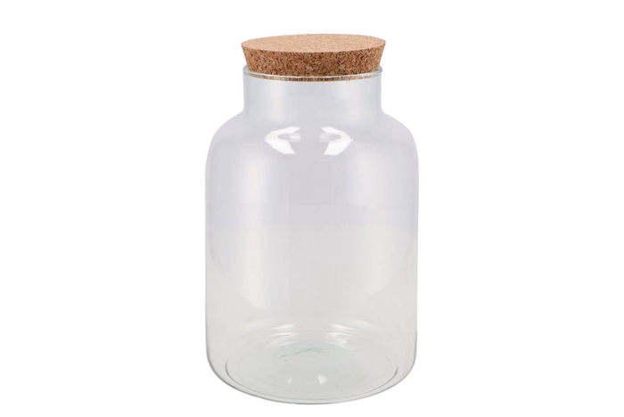 <h4>Glass Bottle With Cork Close 17x27cm</h4>