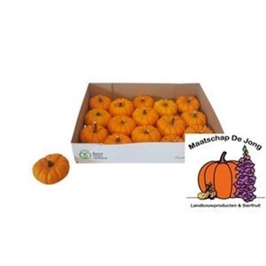 Cuc P Jack Be Little