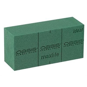 1..OASIS 11-01021 ECONOMY-BLOC P.DS