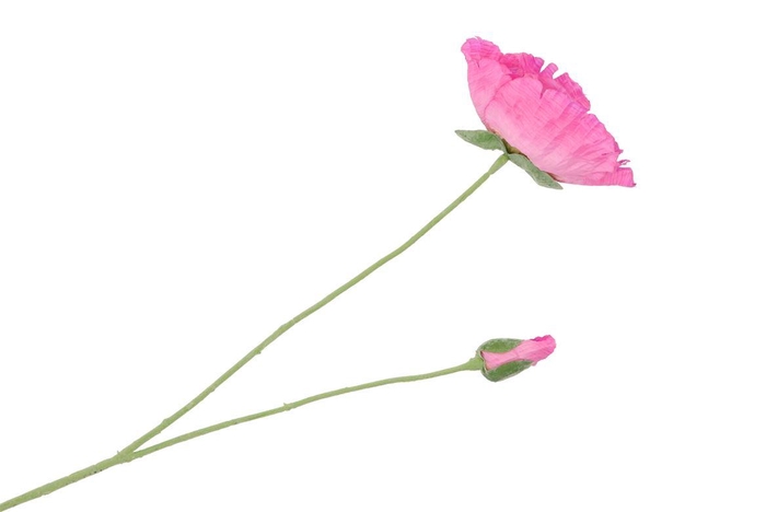 <h4>Silk Poppy 2x Pink 70cm</h4>