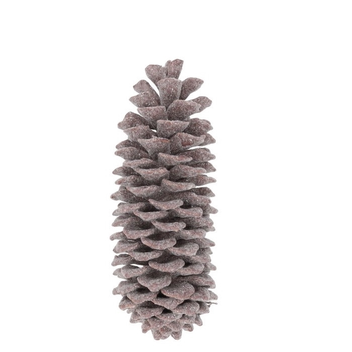 <h4>Dennenappels Suger pine wax 35cm</h4>