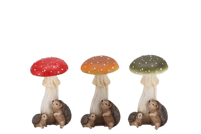 <h4>Wonderland Mushroom Scottisch Spice Hedgehog Ass 11x8x19cm</h4>