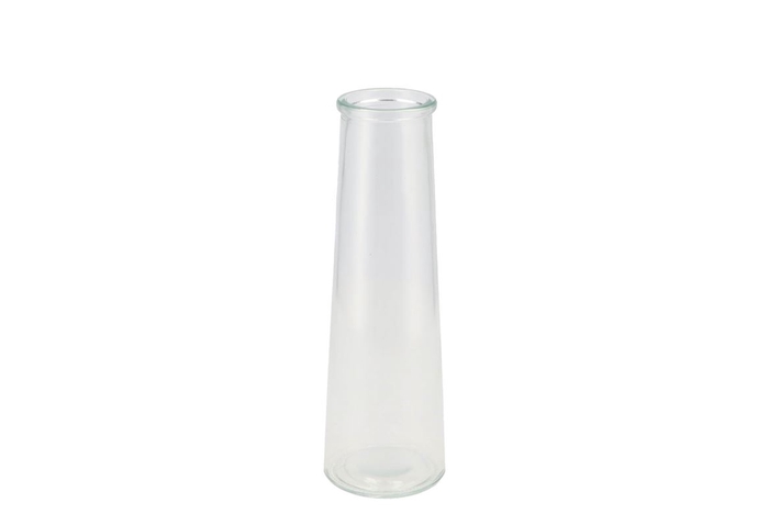 <h4>Glass Bottle Clear 8x25cm</h4>