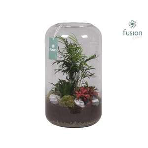 Green Bottle Isabella XXLarge met Groene Planten Arrangement