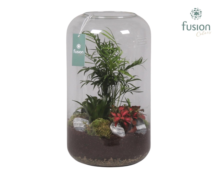 <h4>Green Bottle Isabella XXLarge met Groene Planten Arrangement</h4>