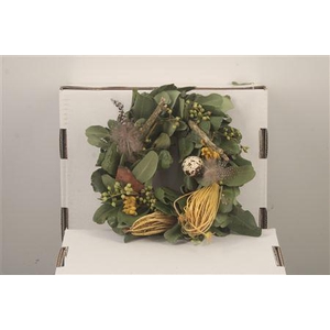 Wreath Spring Berry Feather 20cm