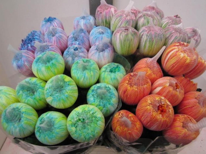 <h4>Chr G Antonov Mix 2 Kleurig</h4>