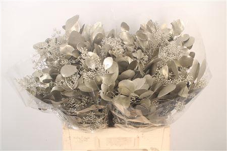 <h4>Euca Populus Berry V Platina</h4>