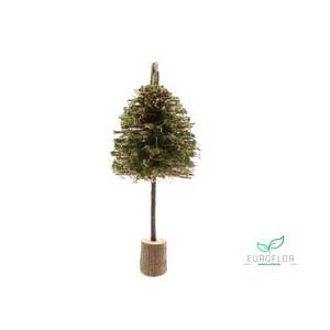 TREE STRAVA H90 D35 GREEN